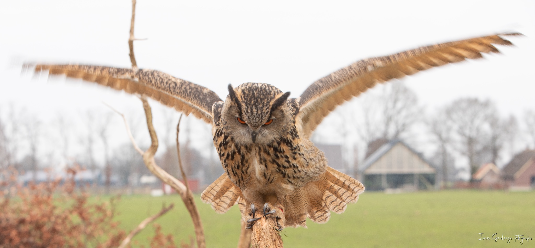 2Y6A3516 210116 10 01 49