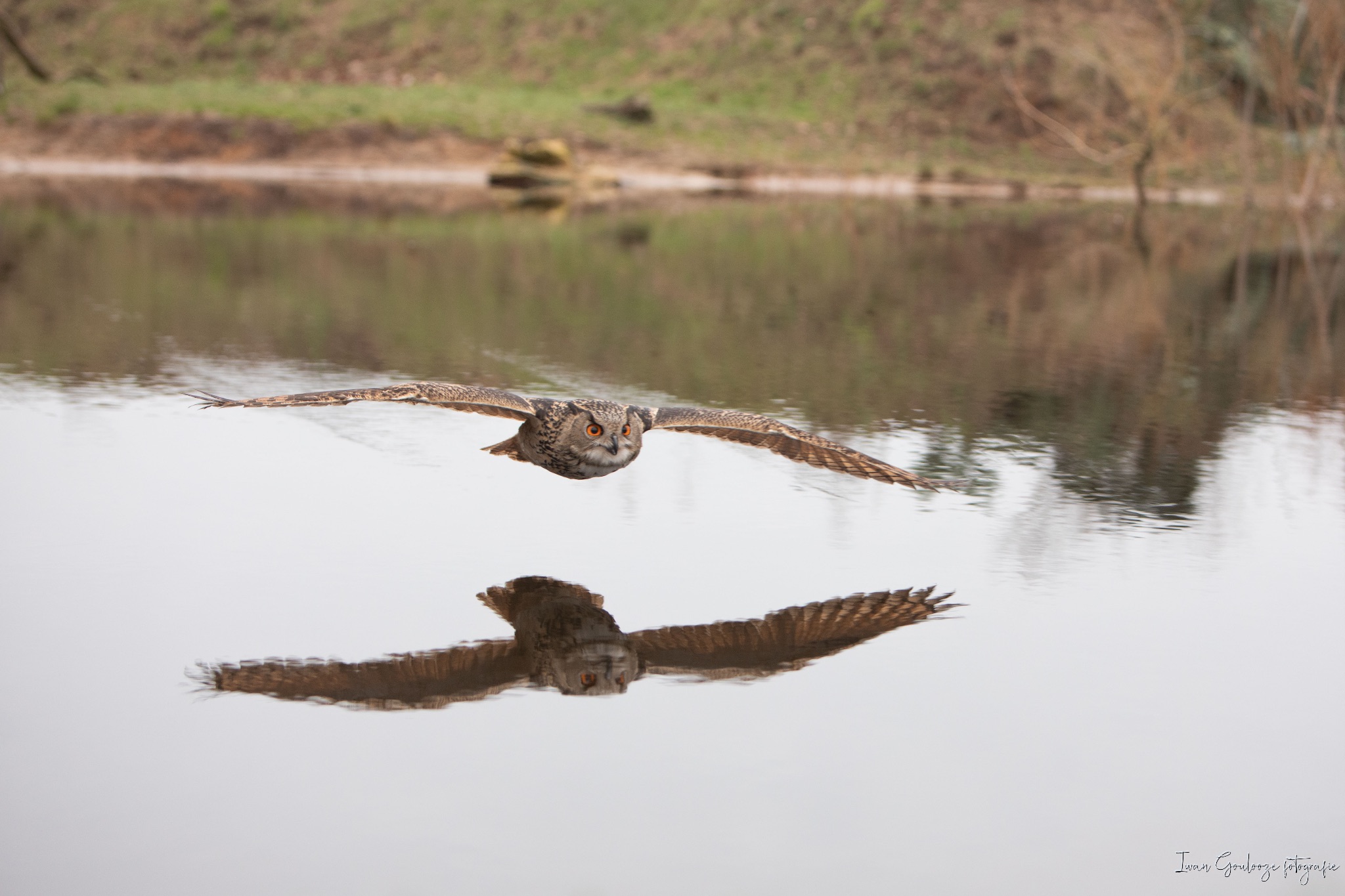 2Y6A3639 210116 10 19 24