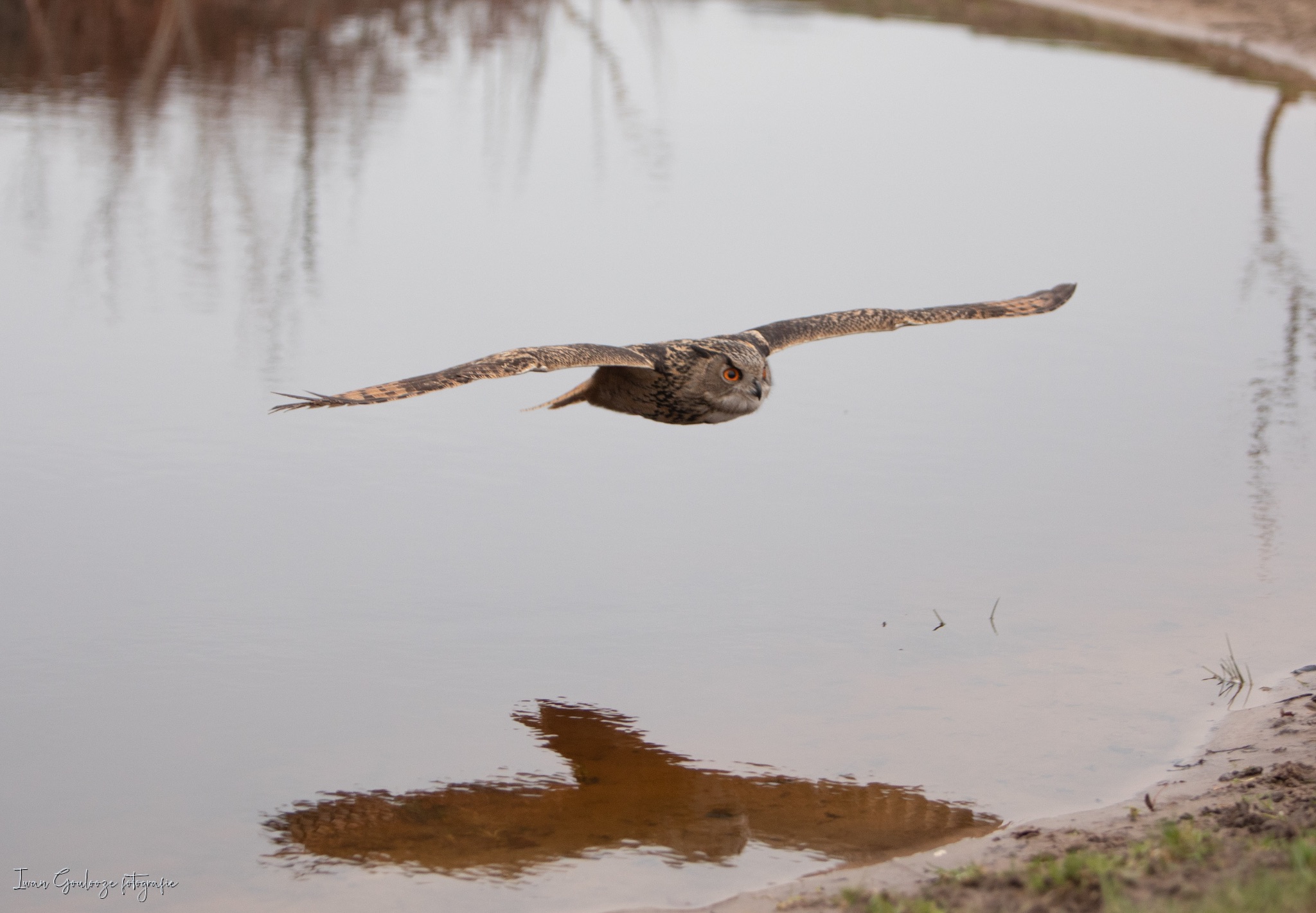 2Y6A3652 210116 10 22 24