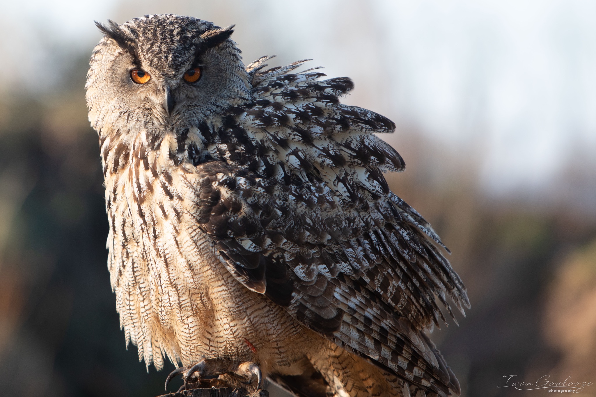 2Y6A6362 210227 16 25 15