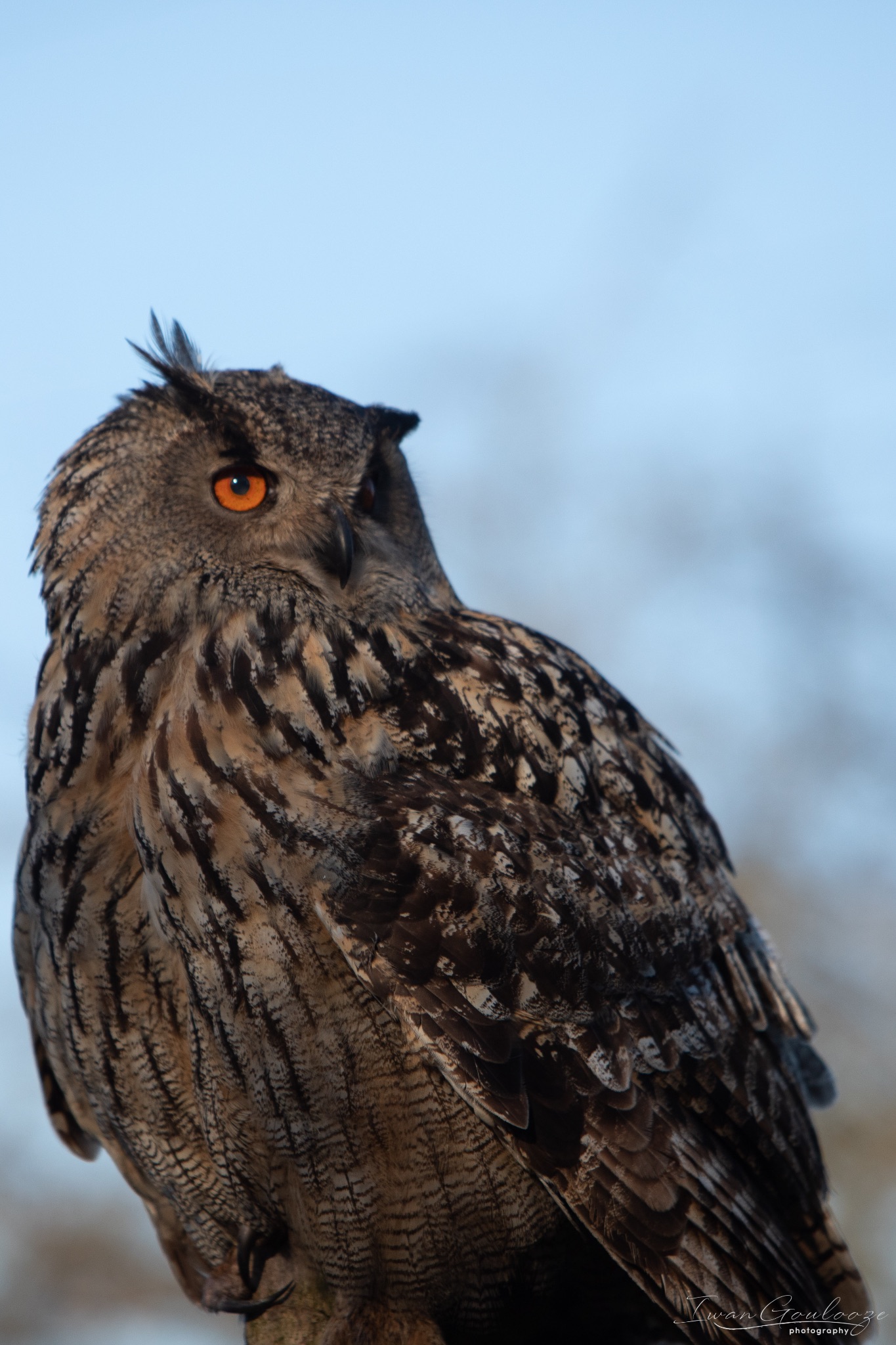 2Y6A6446 210227 16 33 36