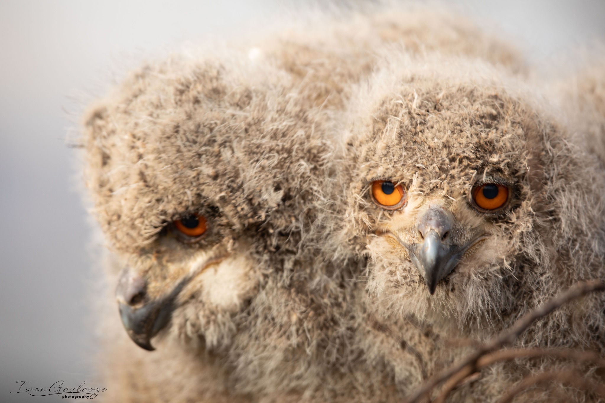 2Y6A8151 210317 09 22 39