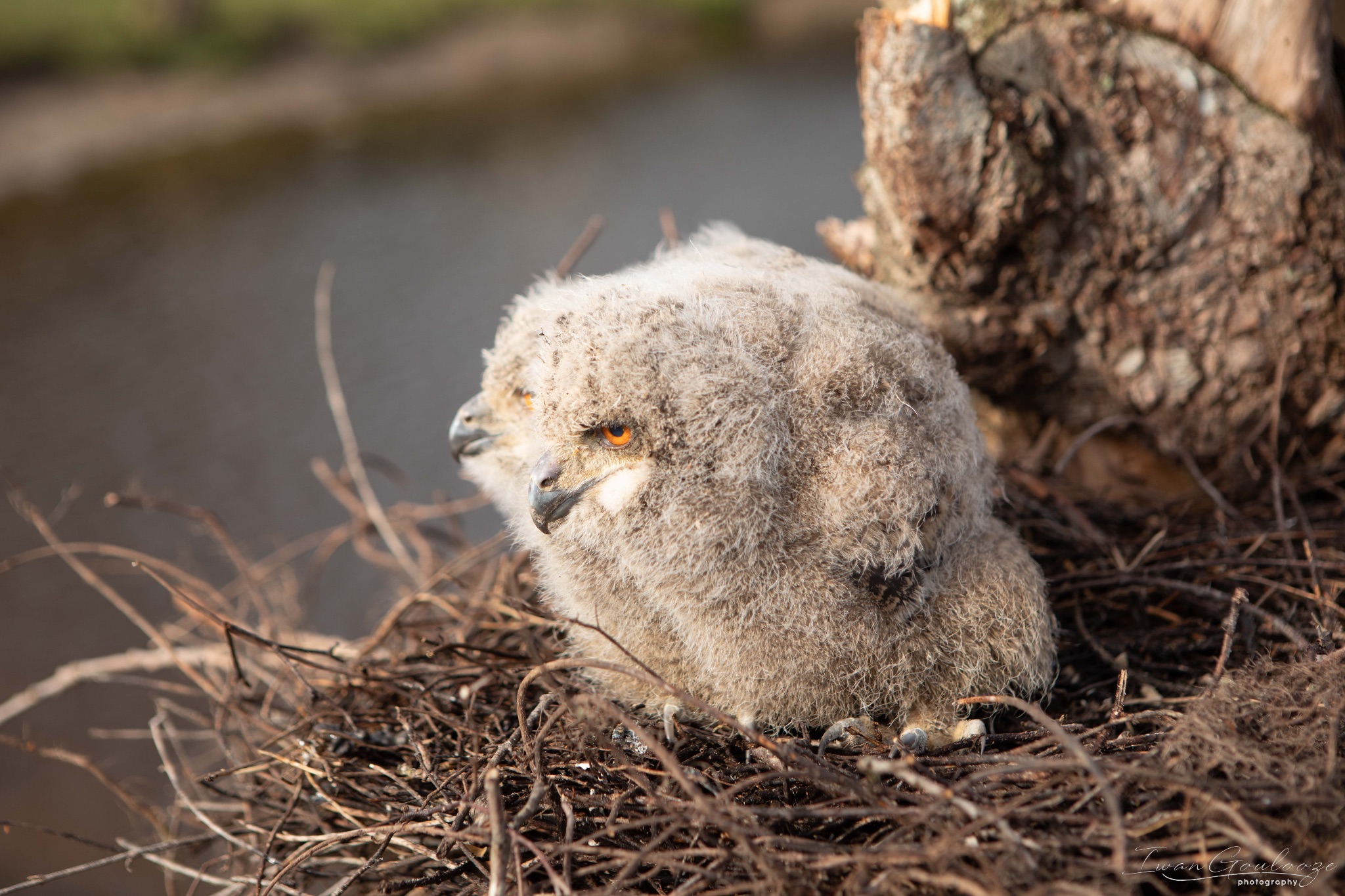 2Y6A8161 210317 09 25 39