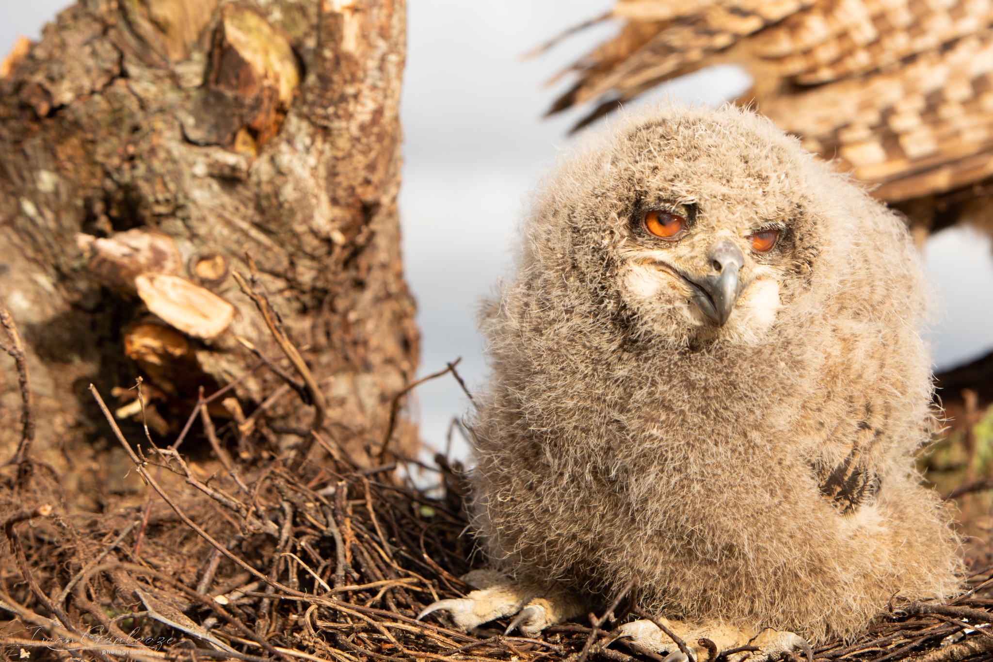 2Y6A8174 210317 09 30 23