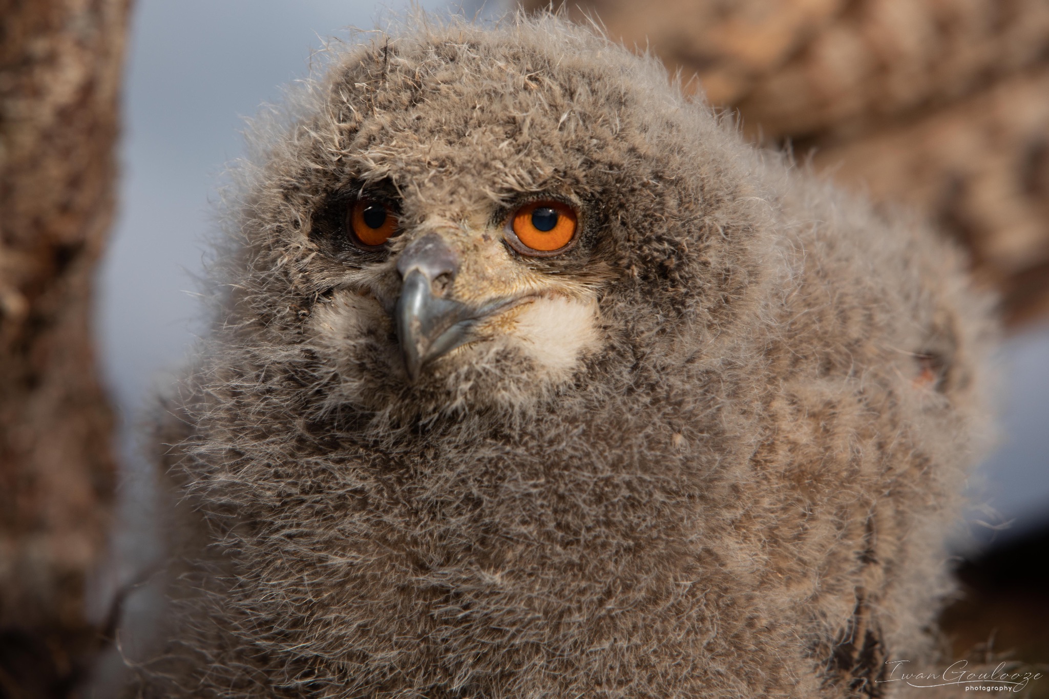 2Y6A8175 210317 09 30 29