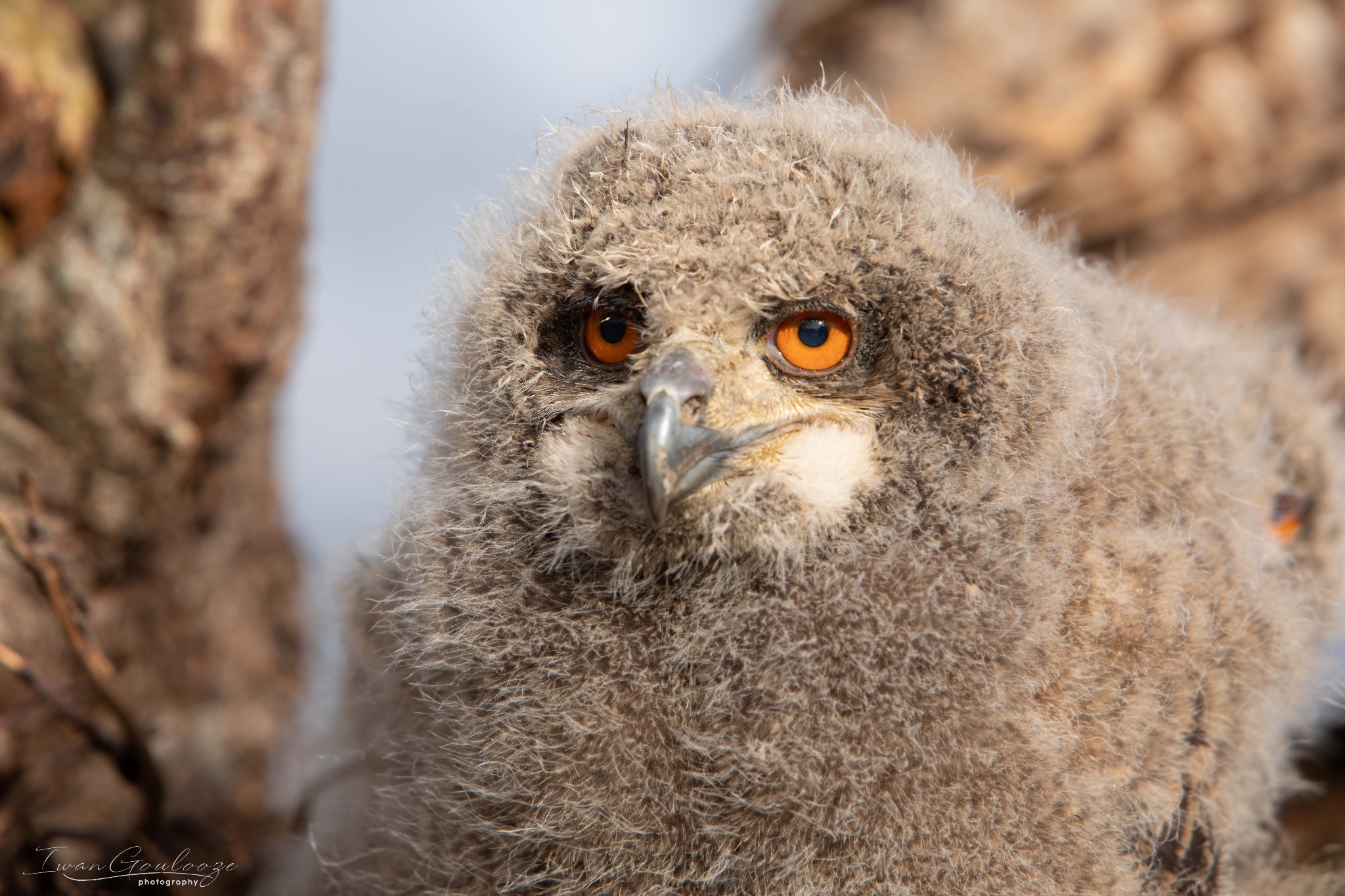 2Y6A8176 210317 09 30 29