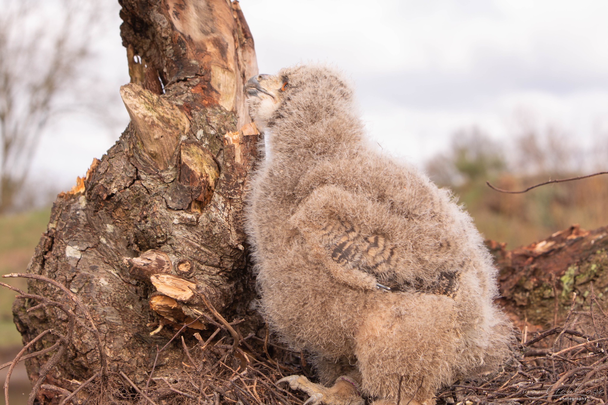 2Y6A8184 210317 09 31 11