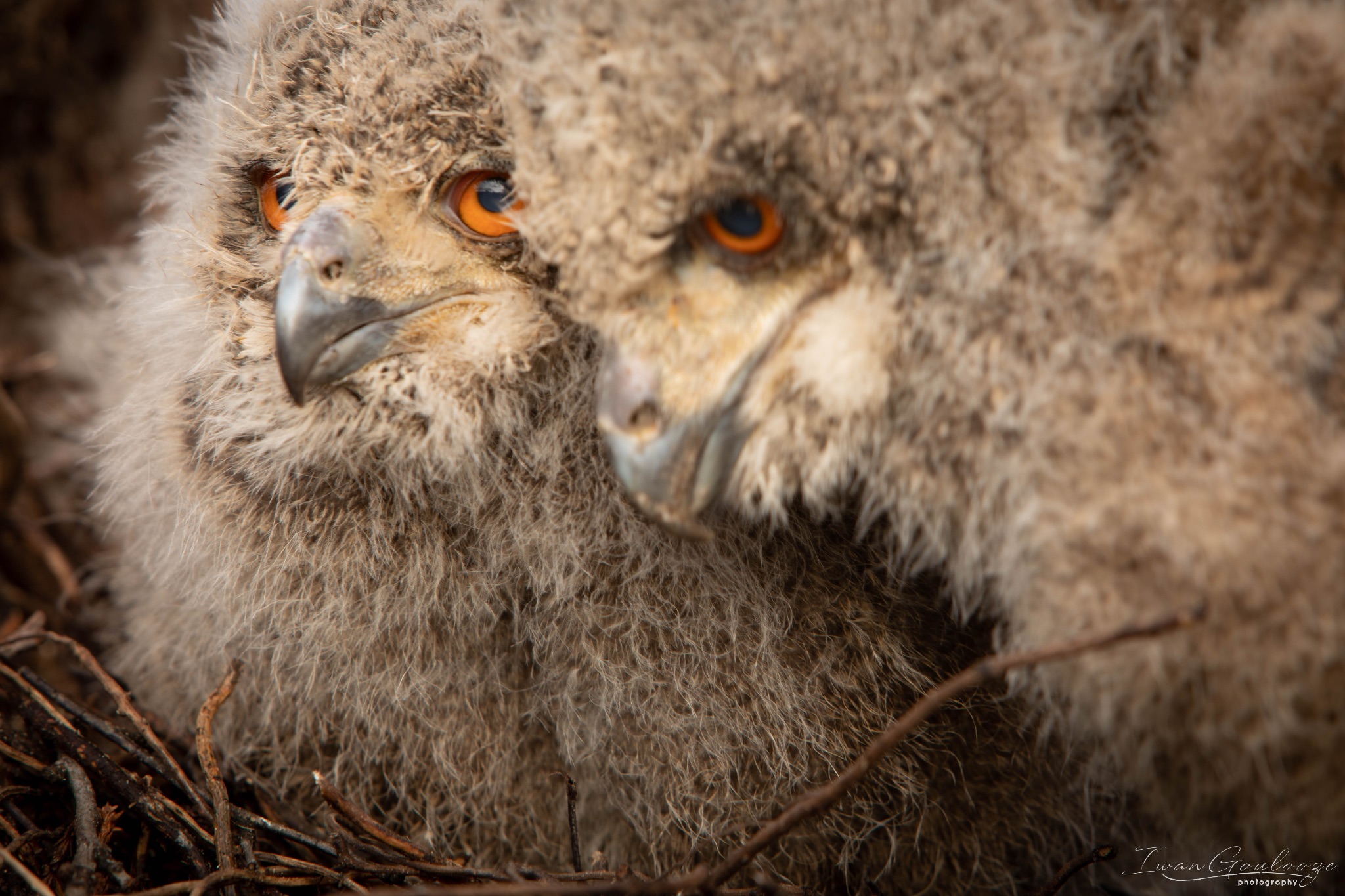 2Y6A8194 210317 09 31 53