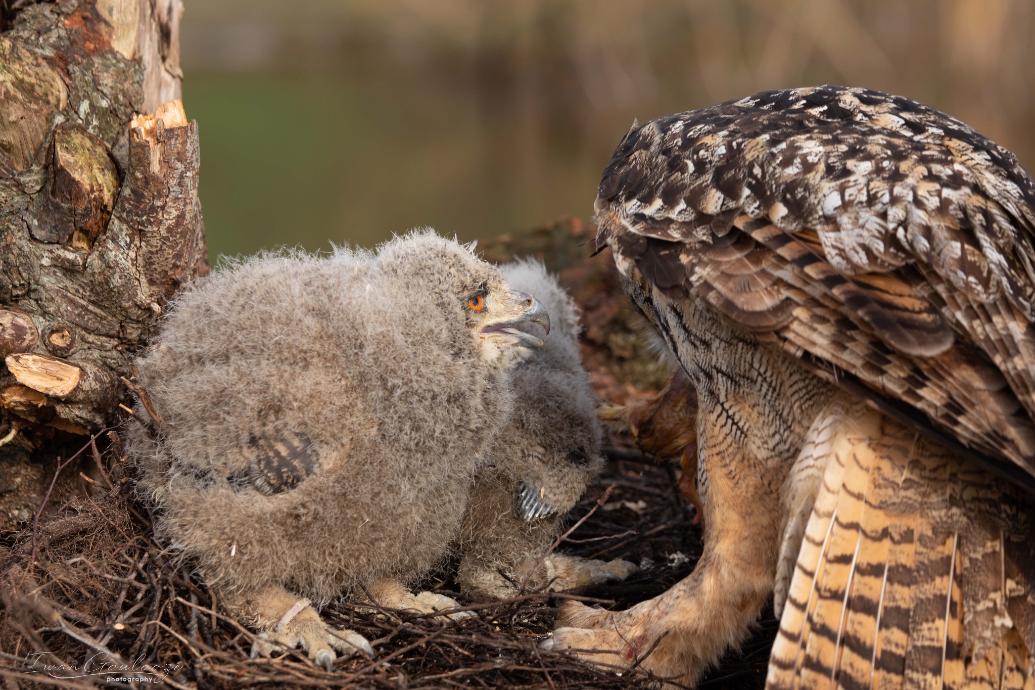 2Y6A8199 210317 09 32 54