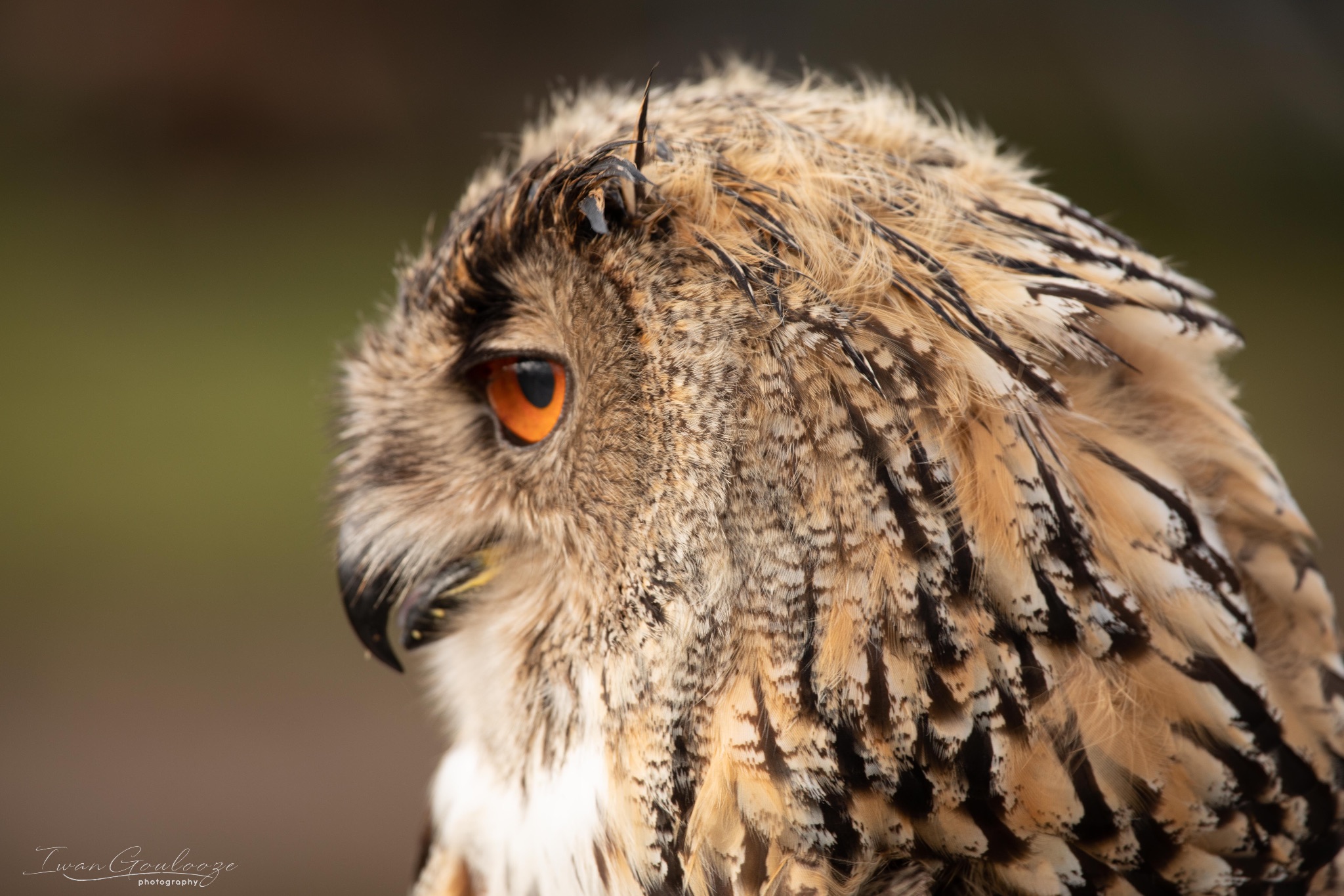 2Y6A8203 210317 09 34 56