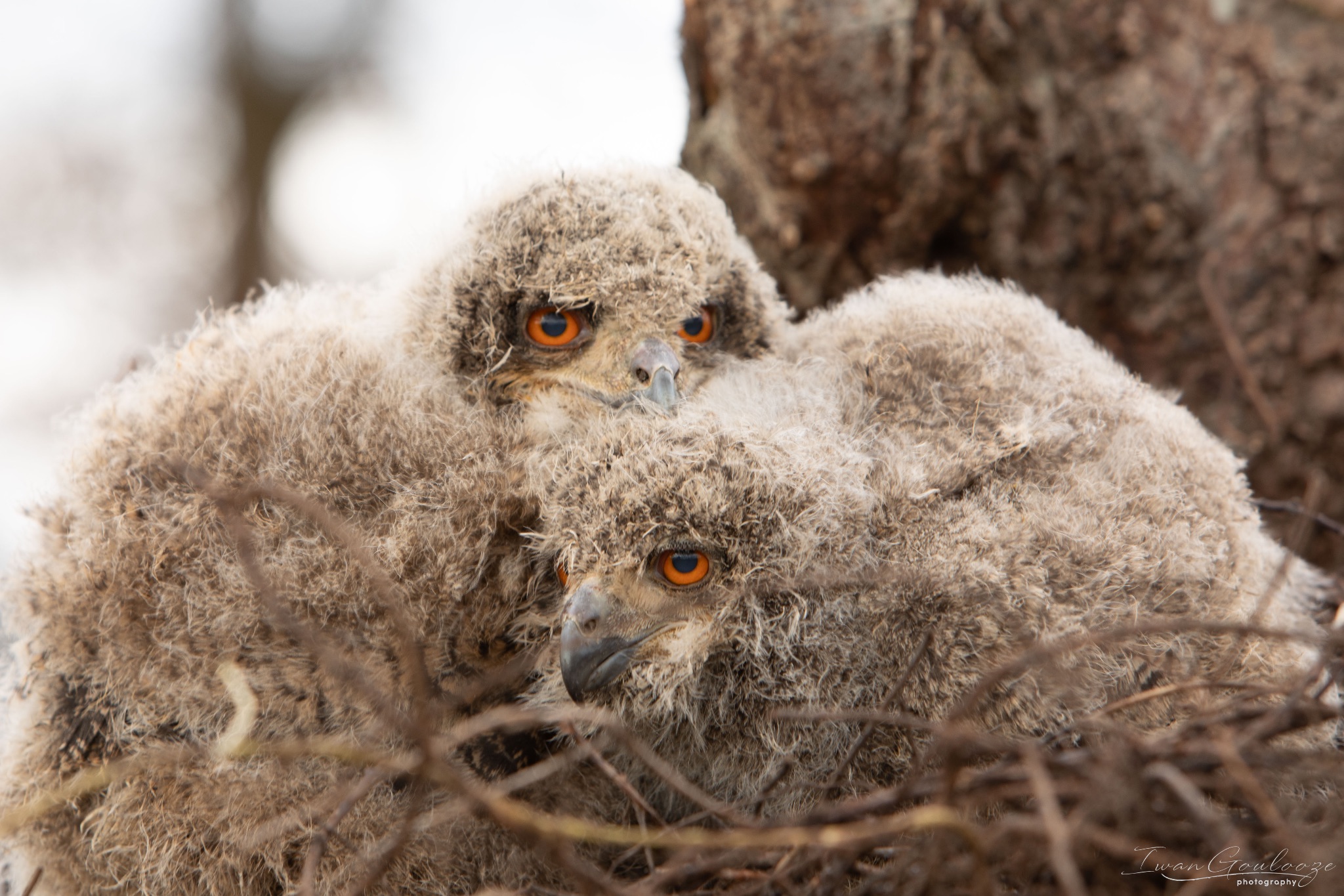 2Y6A8264 210317 09 53 45