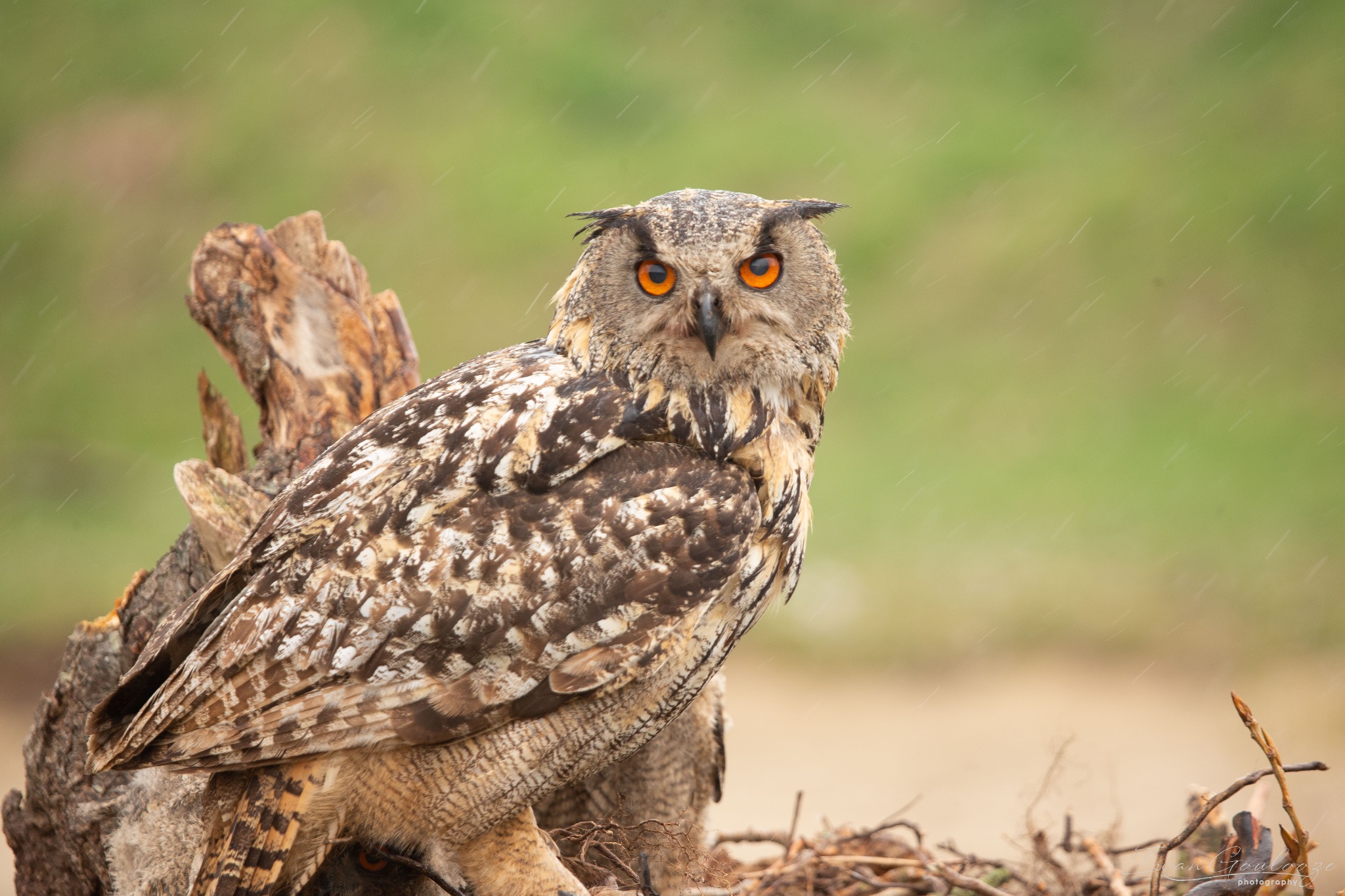  1DX1705 210410 13 18 23