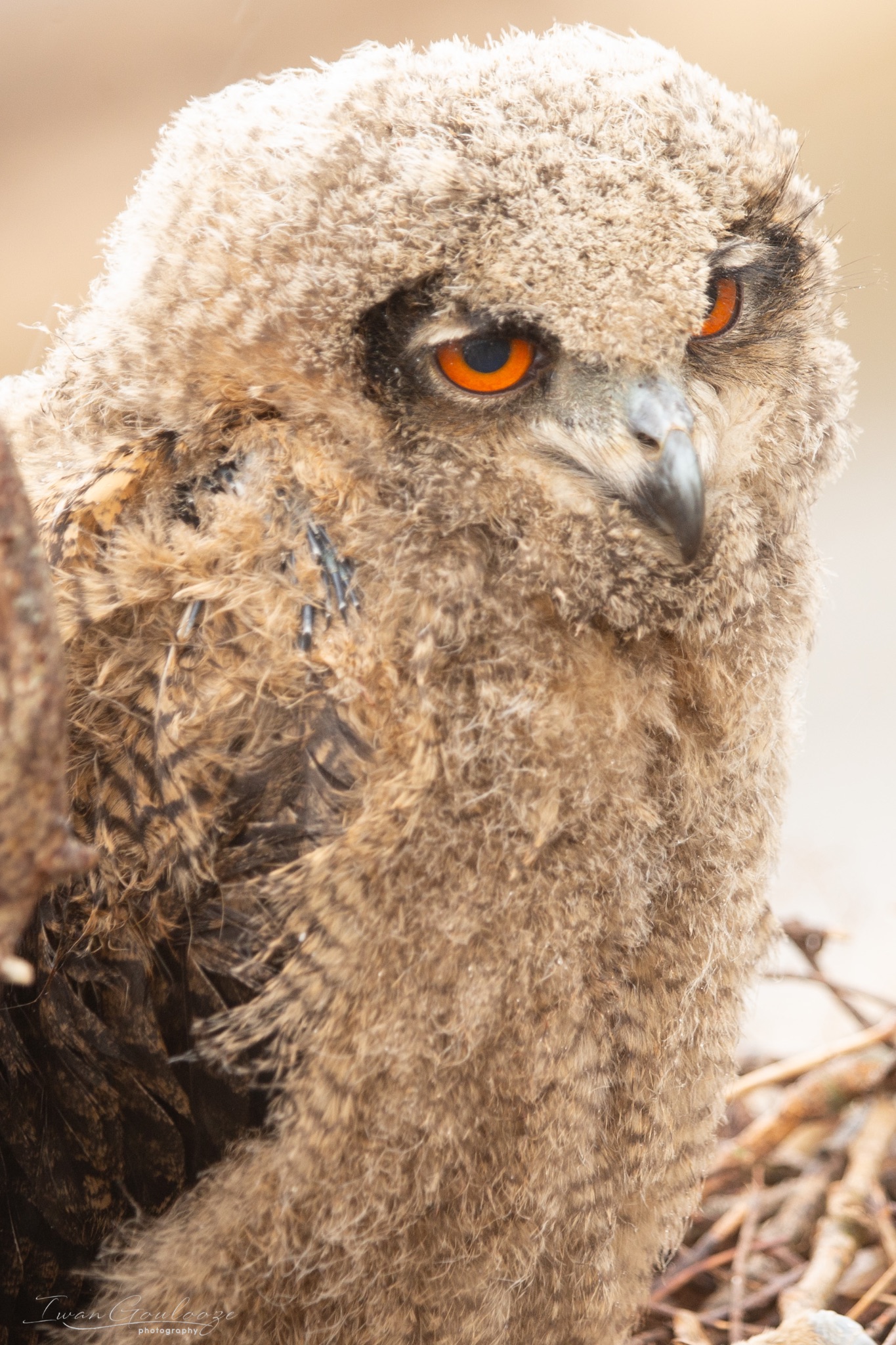  1DX1715 210410 13 23 59