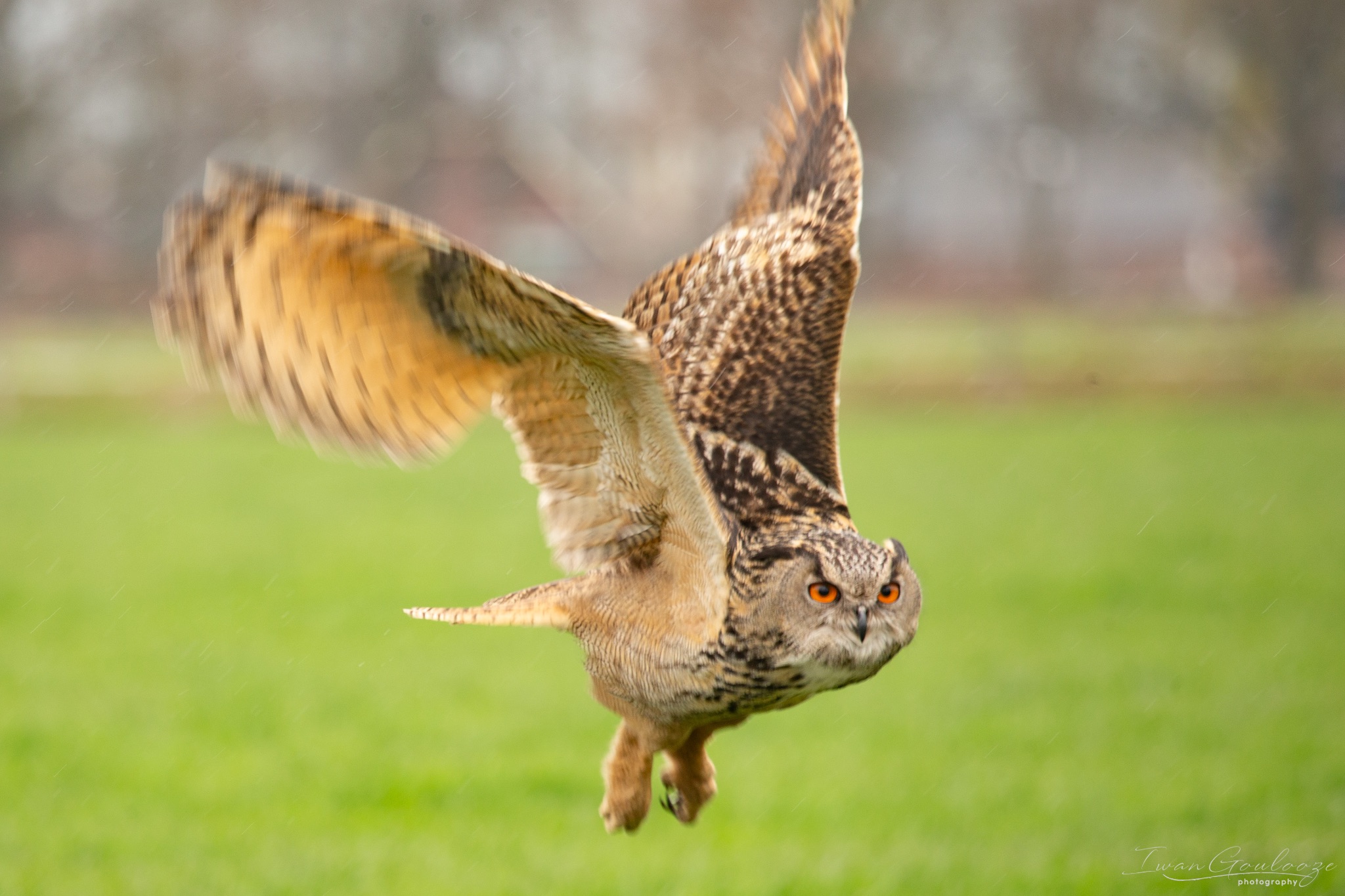  1DX1880 210410 14 01 29