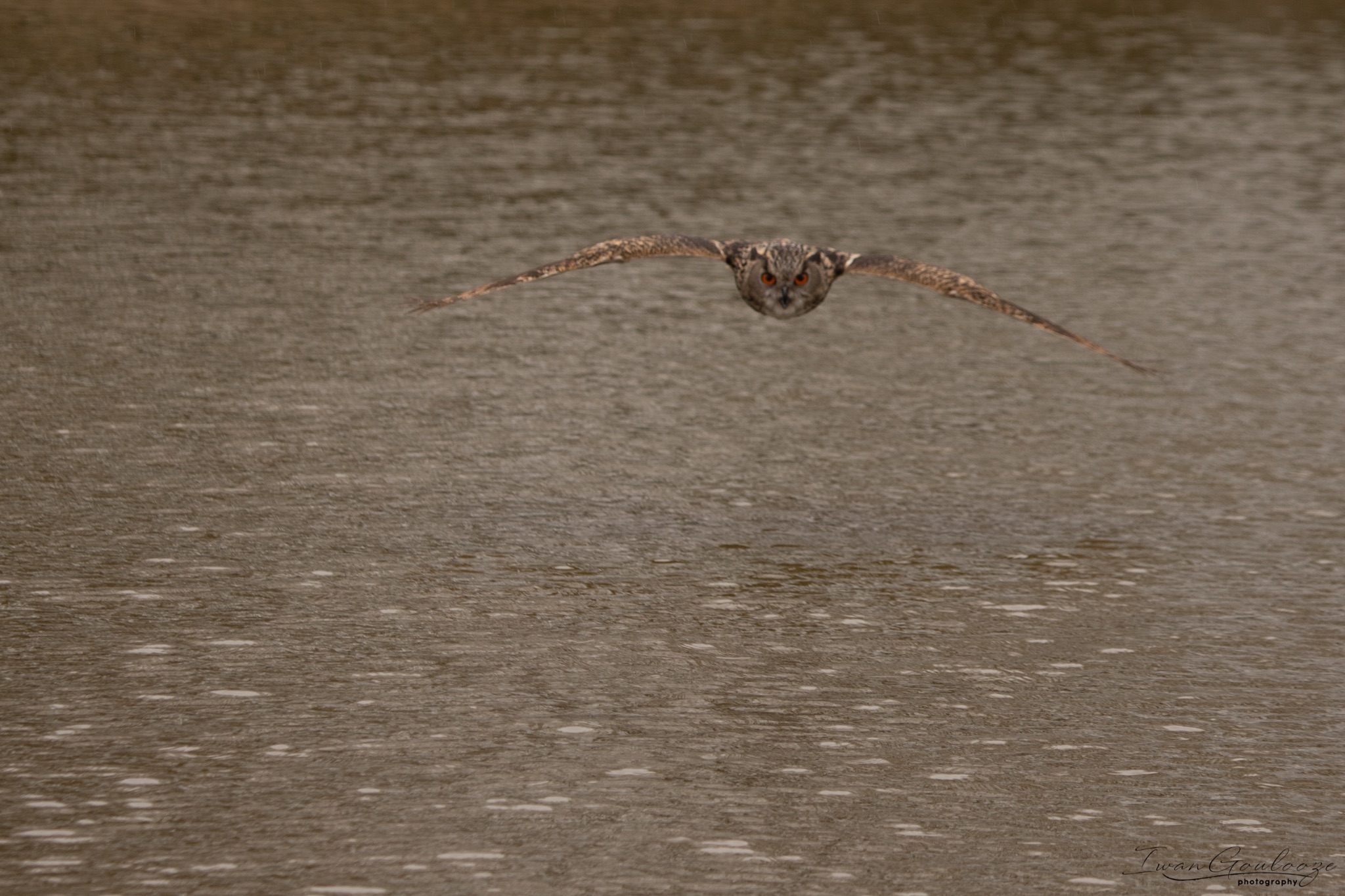  1DX1941 210410 14 08 07