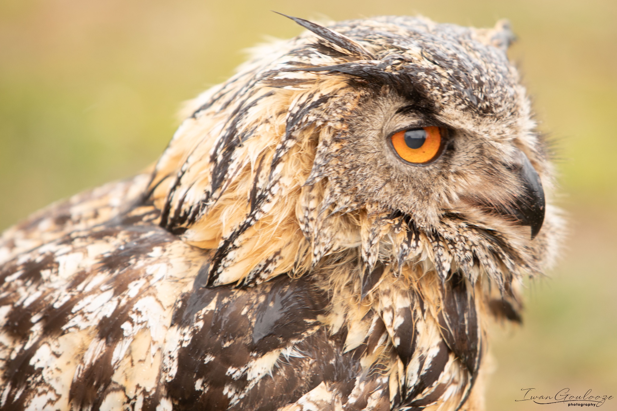  5D49605 210410 12 29 39