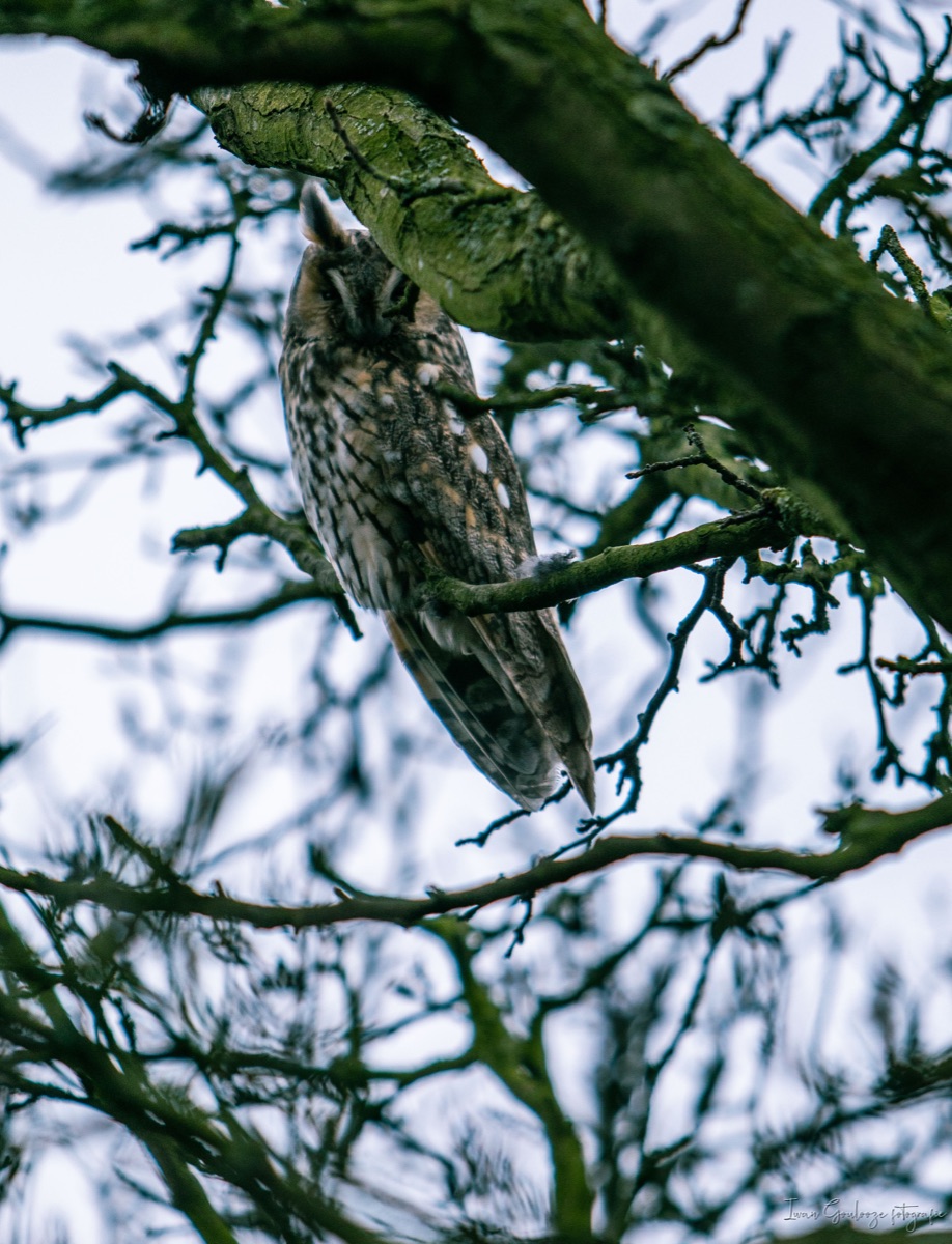 2Y6A3306 210115 14 24 25