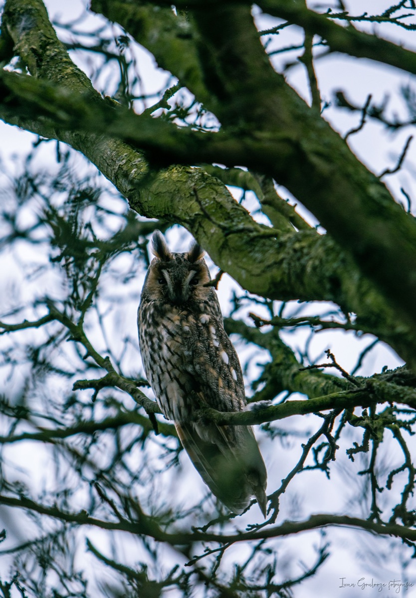 2Y6A3307 210115 14 24 50