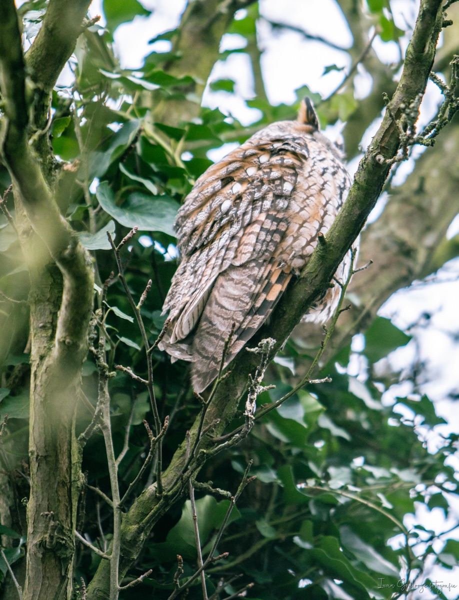 2Y6A3311 210115 14 25 30