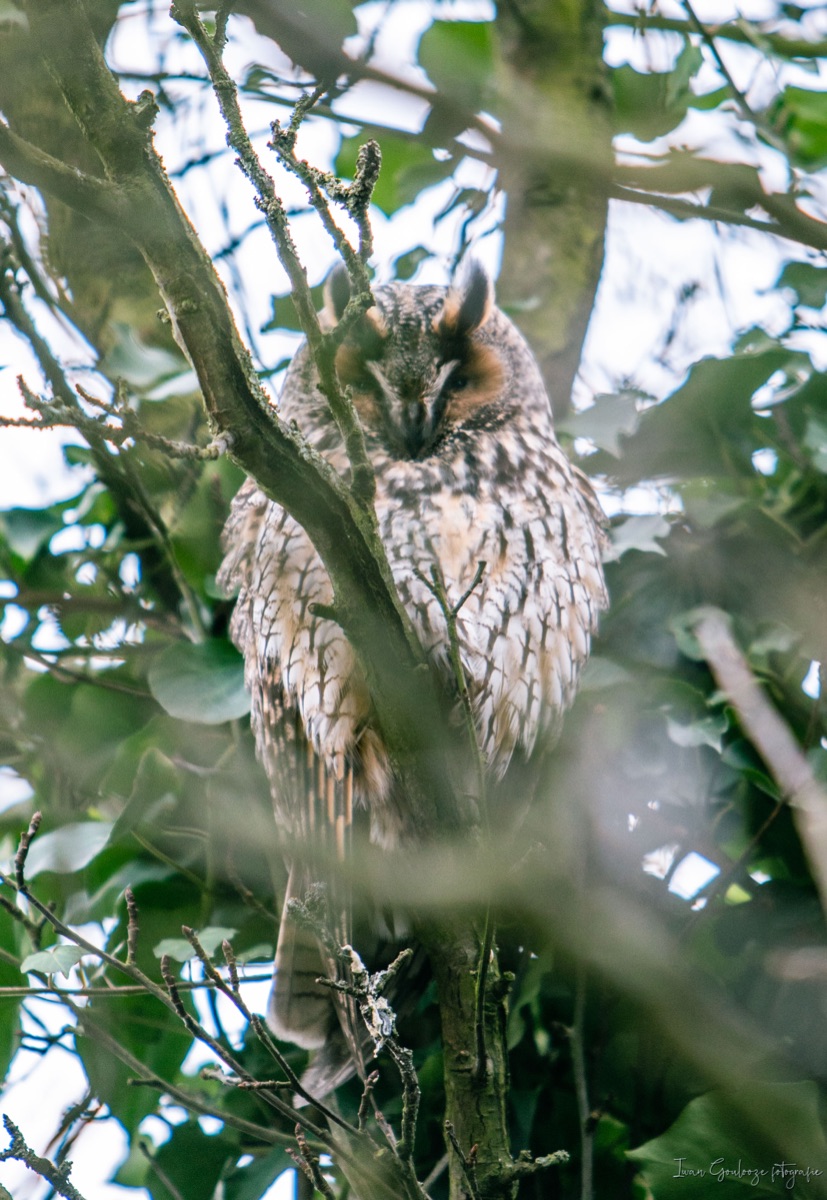 2Y6A3316 210115 14 27 10