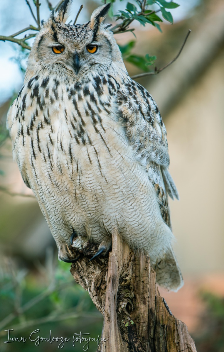 2Y6A2025 201204 12 10 35