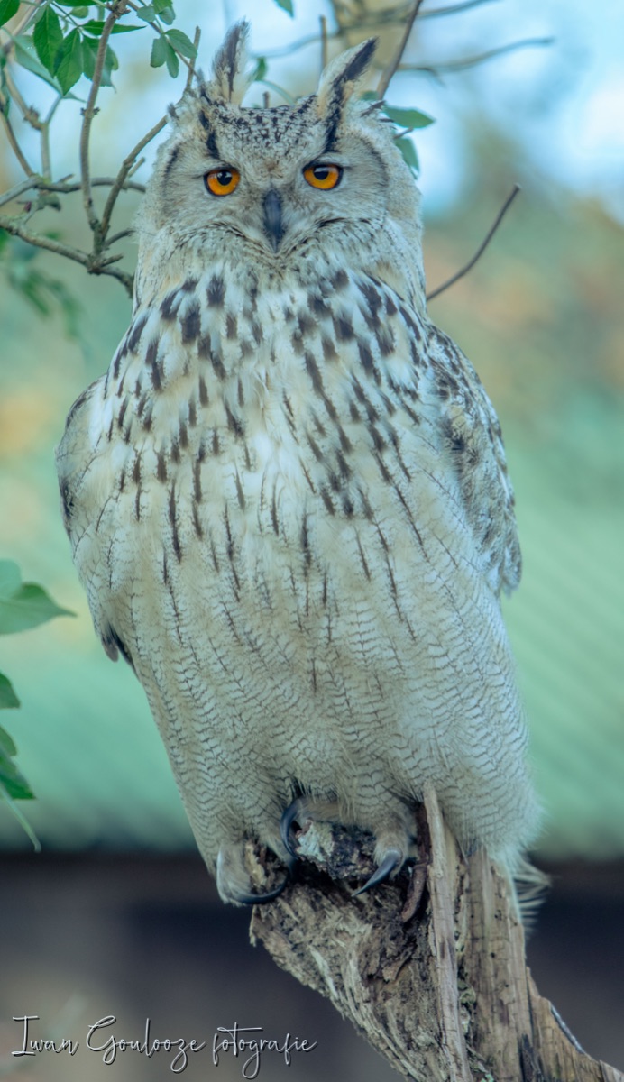 2Y6A2028 201204 12 10 58