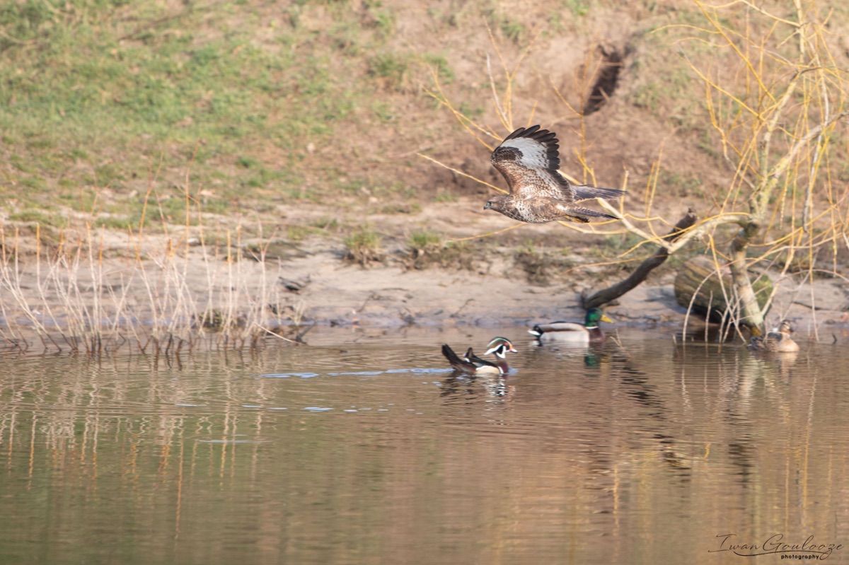 2Y6A6992 210306 09 51 04