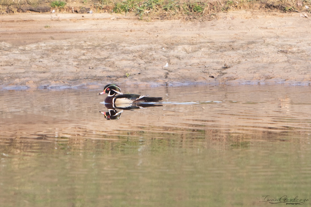 2Y6A6996 210306 09 51 20