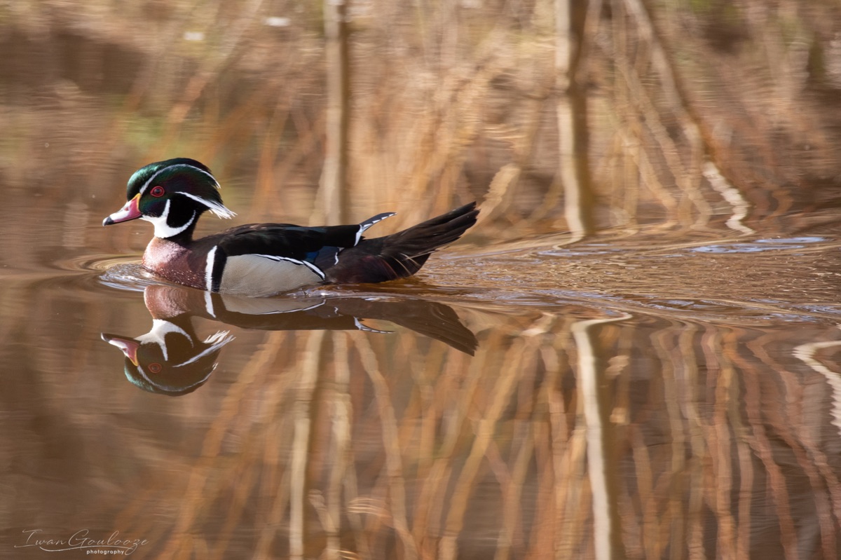 2Y6A7340 210306 11 05 47