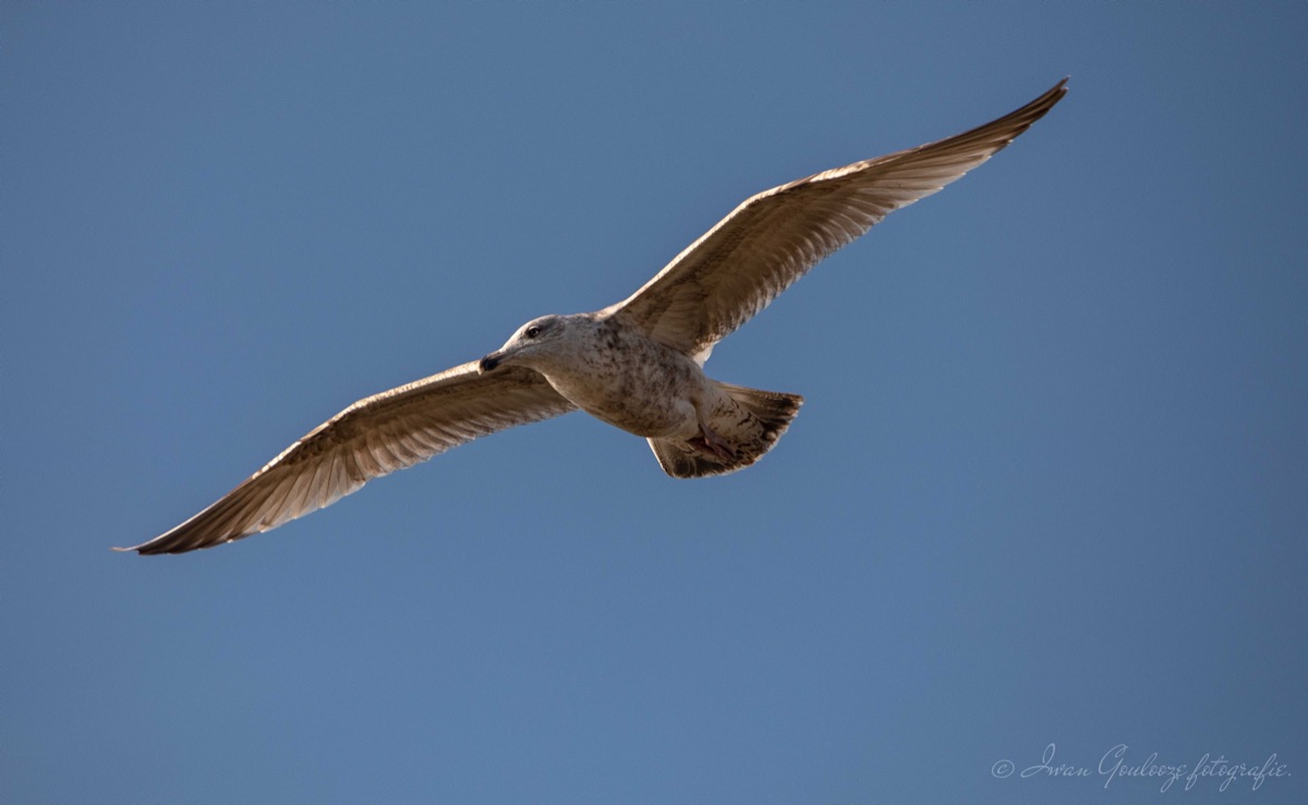 2Y6A0356 201109 13 05 59