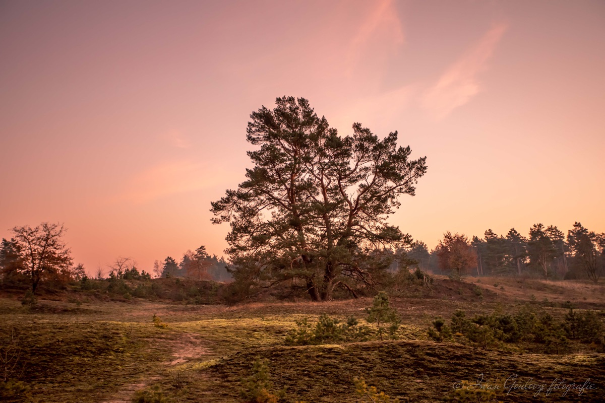 2Y6A0542 201129 16 38 26