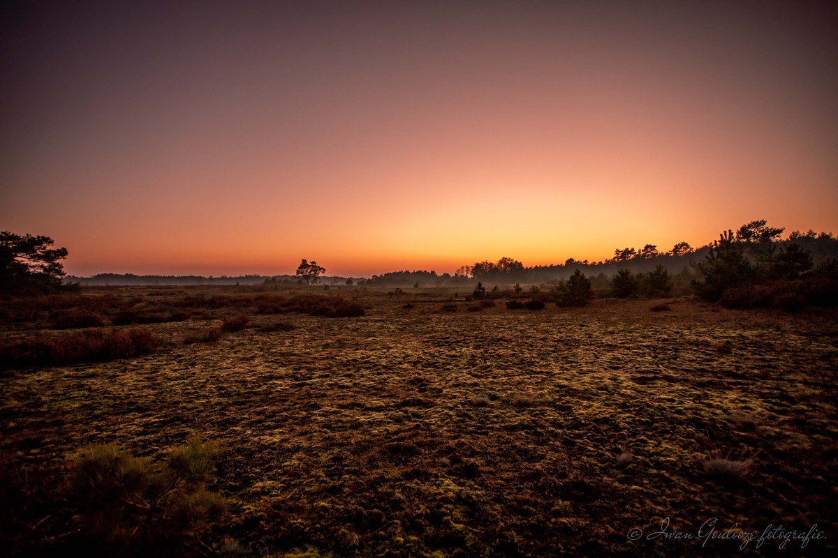 2Y6A0544 201129 16 47 06