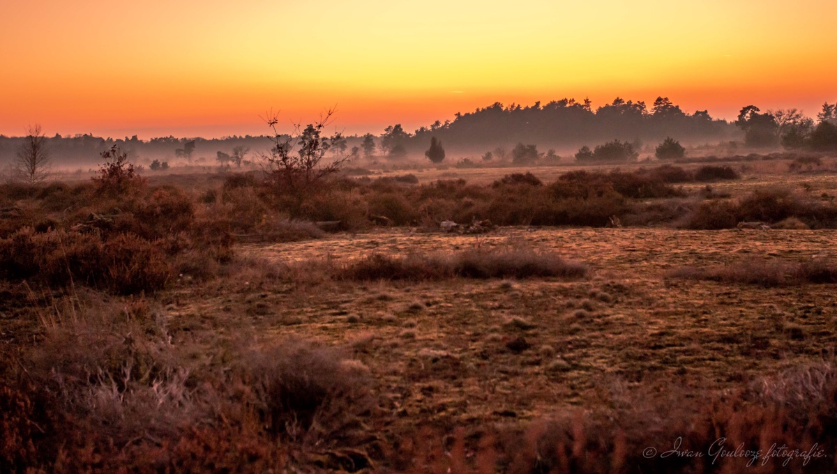 2Y6A0548 201129 16 51 54