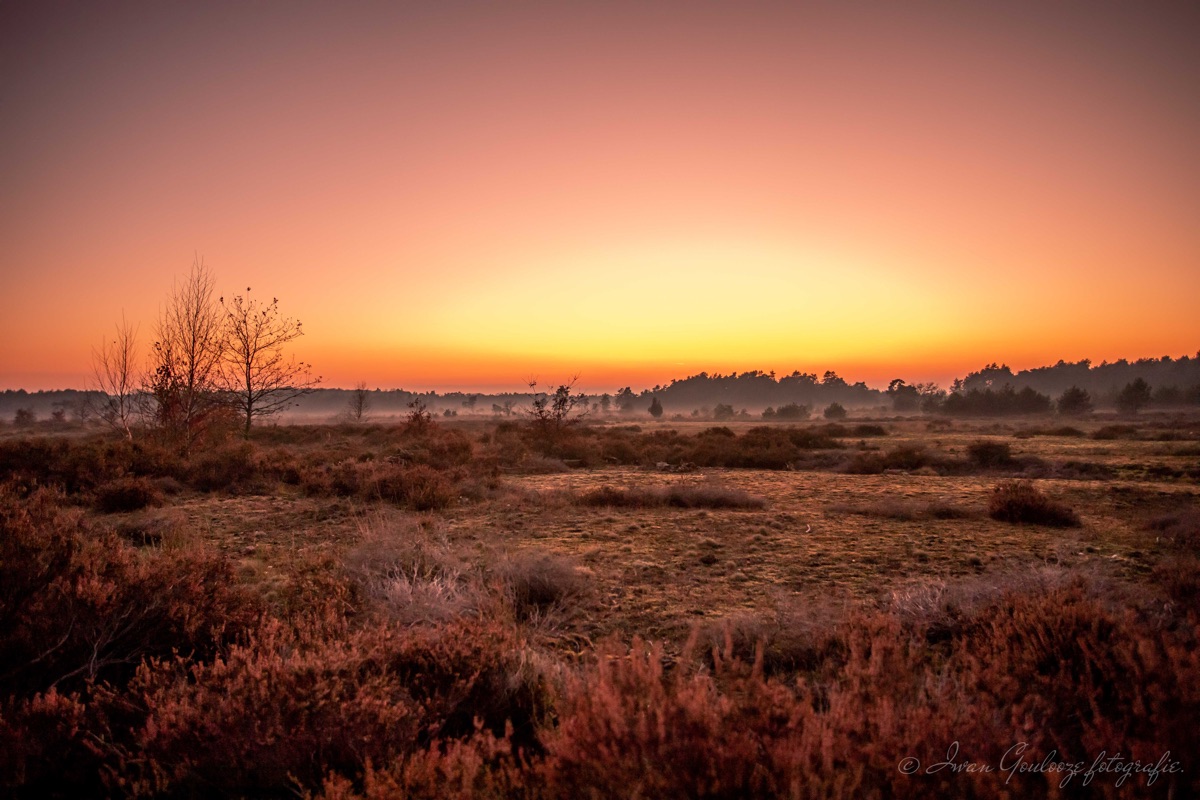 2Y6A0550 201129 16 52 02