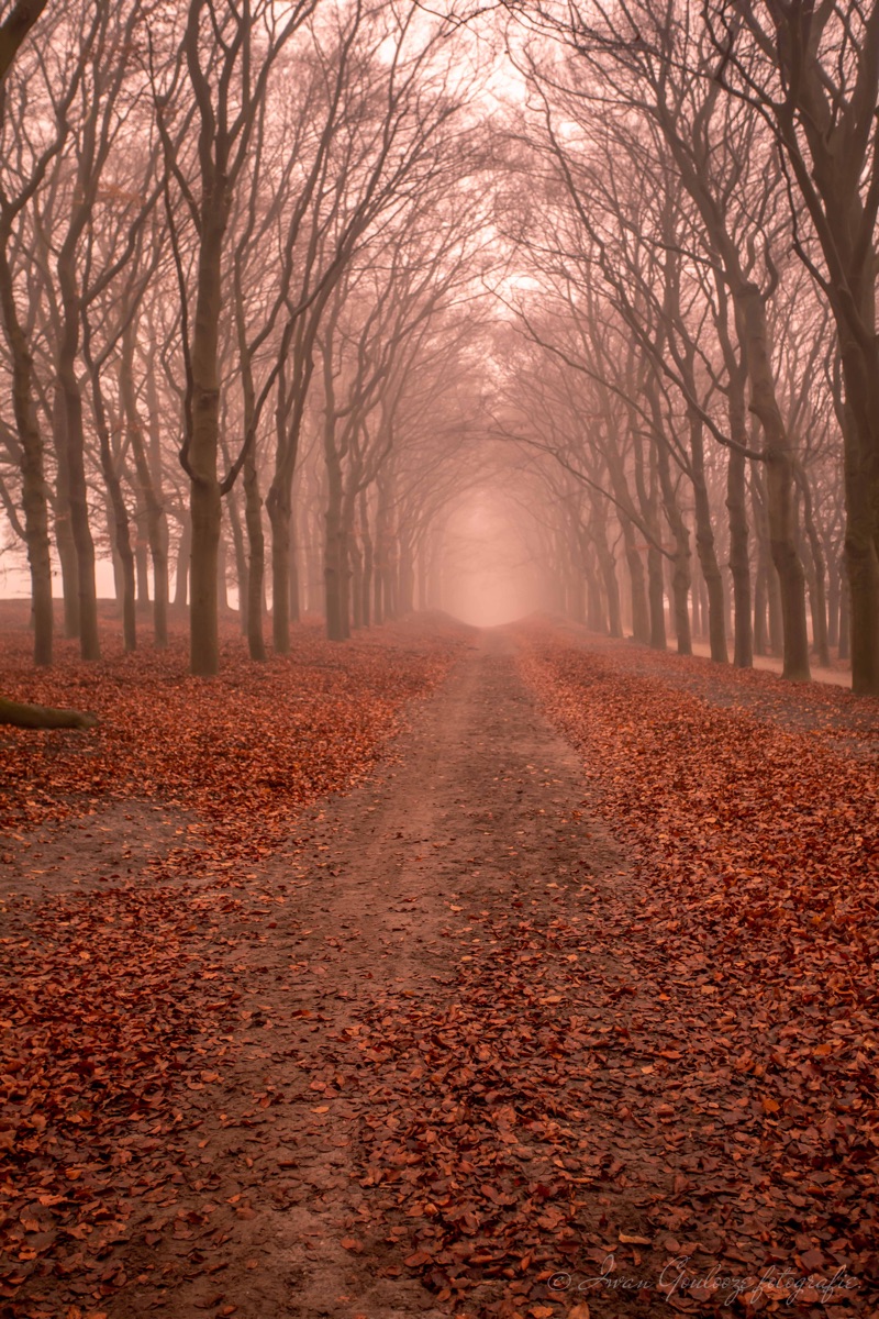 2Y6A0661 201130 15 32 22