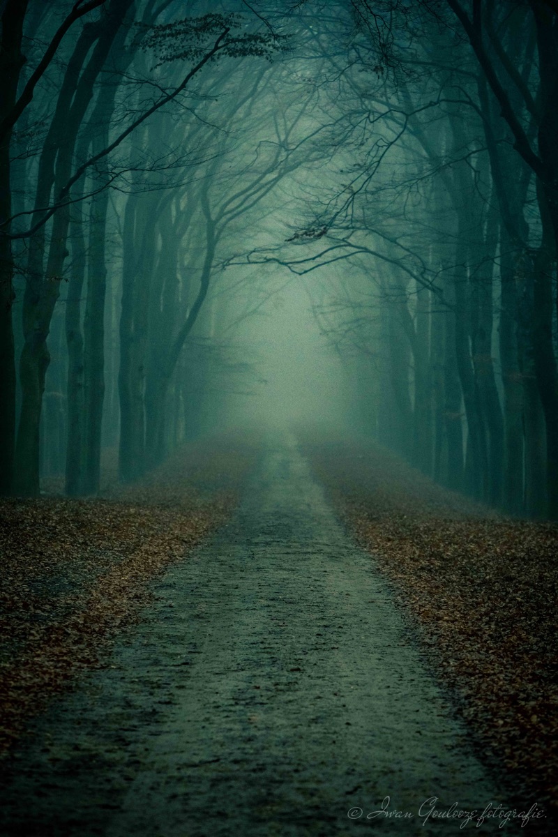 2Y6A0668 201130 15 44 15